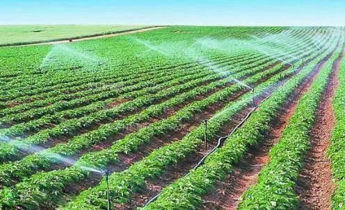 白虎浪逼农田高 效节水灌溉